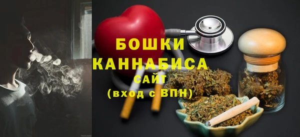 spice Богородицк
