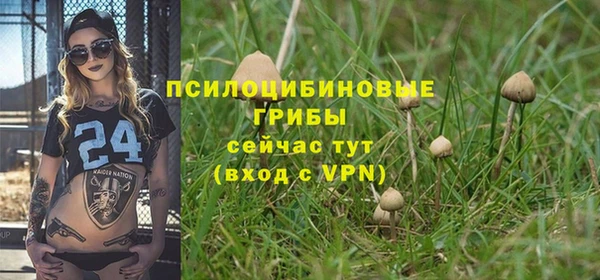 spice Богородицк