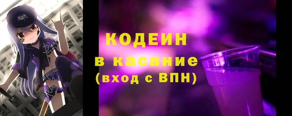 spice Богородицк