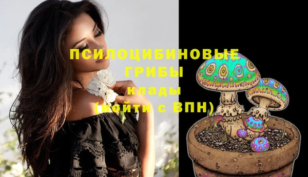 jwh Богданович