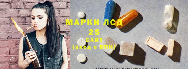 spice Богородицк