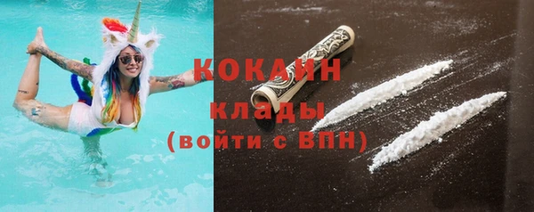 spice Богородицк