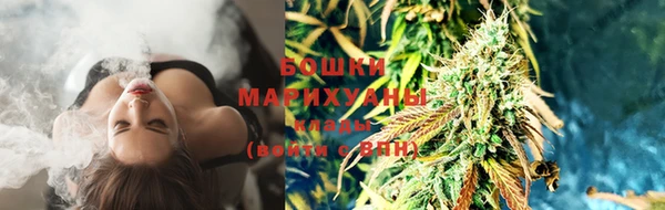 spice Богородицк